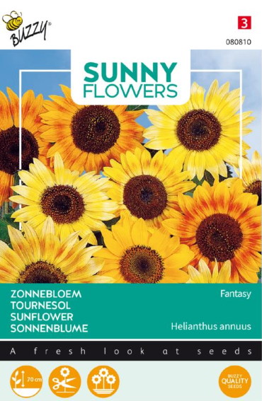 Sunflower Fantasy (Helianthus) 50 seeds BU